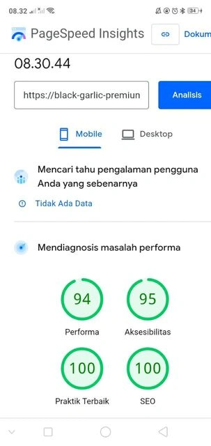 Bukti PageSpeed 94+